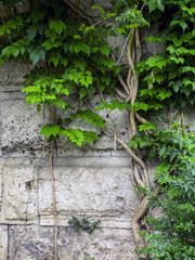 Ancient stone wall , Greece Athens