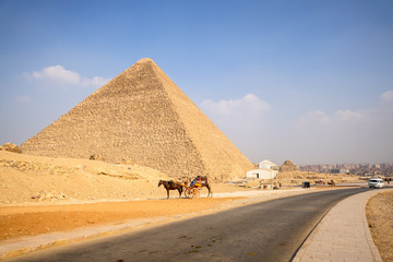 Fototapeta na wymiar horse ride in the desert Cairo Egypt