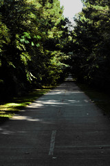 Fototapeta premium Deja Vu - Landscape Photography