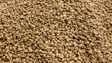 Close up of coffee beans for background                               