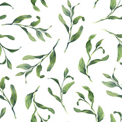 watercolor seamless pattern with green tiny leaves on white background
