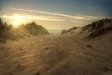 Weg durch die Dünen zum Meer