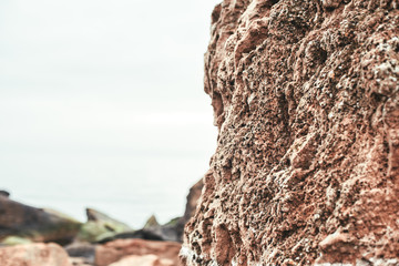 Close up photo of old stone brown wall on the beach