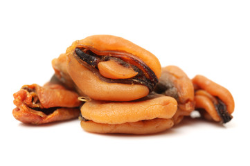 Dry Mussel on white background 