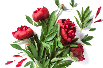 Flowers composition. Bouquet red peonies flowers on white background. Summer concept. Flat lay, top view, copy space