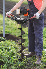 Obraz premium Man plants a tree, hands with shovel digs the ground, nature, ecology concept