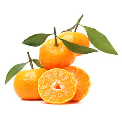 tangerine orange on white background 