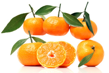 tangerine orange on white background 