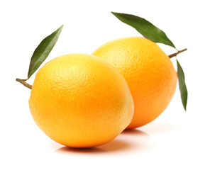 Orange fruit on the white background