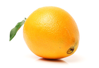 Orange fruit on the white background
