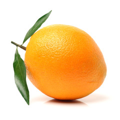 Orange fruit on the white background