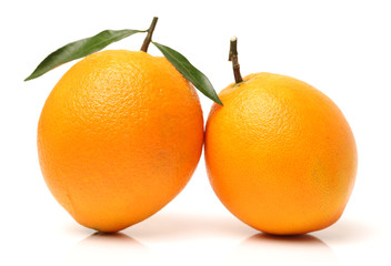 Orange fruit on the white background