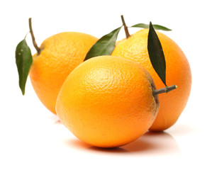 Orange fruit on the white background