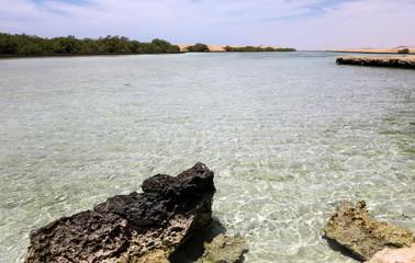 Ras Mohammed Mangrove Channel paradise Egypt.