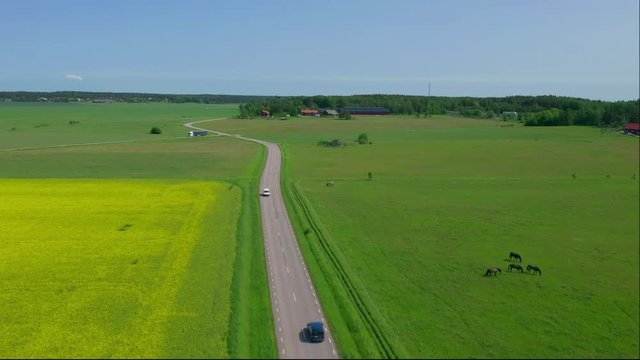 Aerial view of picturesque road through rape seed field in Sweden