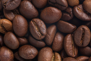 close up of roasted robusta and arabica coffee beans