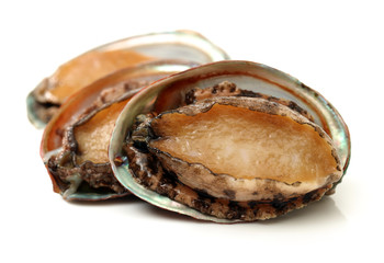 Raw abalones on the white background 