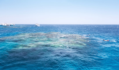 Fototapeta premium White Island Africa Egypt Snorkeling Boat Trip water background.