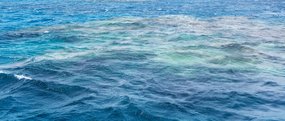 Obraz premium White Island underwater Red sea Egypt.