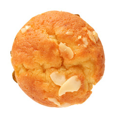cup shape sponge cake on white background