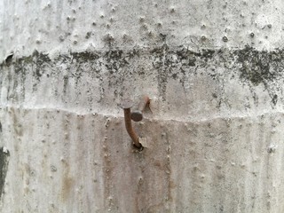 old wall with peeling paint