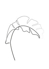 One line drawing. Line art. Contour drawing of Banana leaf. Tropical fashion print in a minimalist style is suitable for interior decoration, postcards, creating a logo or printing on clothes.