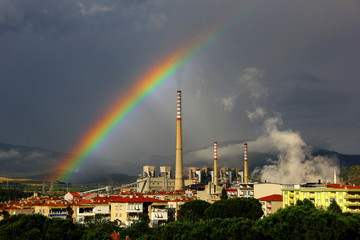 Thermal Reactor Soma