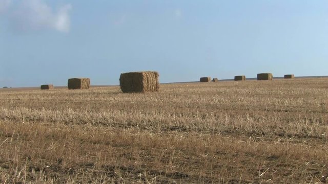 Haystacks in field Haystack in the Golan Heights field Israel