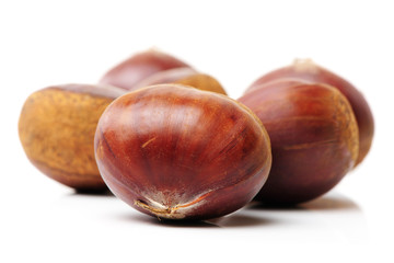 Sweet chestnut on white background