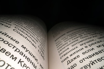 Inside the book concept. Latin letters and words on an tunnel shaped, perspective book page with black dramatic light. Education, knowledge concept