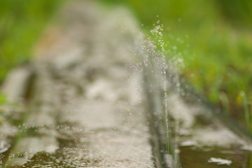水玉