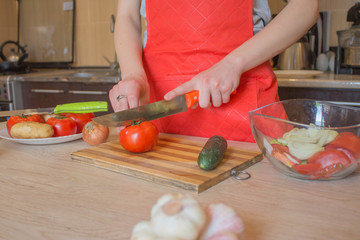 Woman hands cooking healthy meal in the kitchen, behind fresh vegetables. Cropped image of young girl cutting vegetables for Food