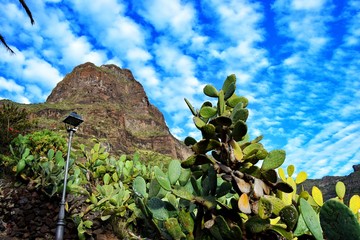 Tenerife, Canary Islands 