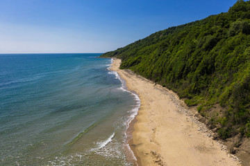 Aerial view to beautiful beach and forest
