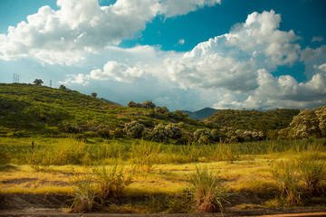 hill in a sunset