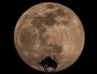 Full Moon Photo with Horoscopes © ClaudioArnese