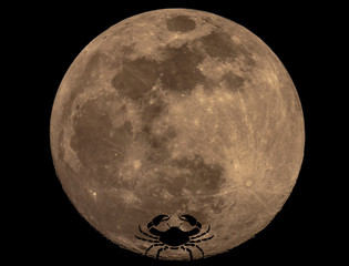 Full Moon Photo with Horoscopes