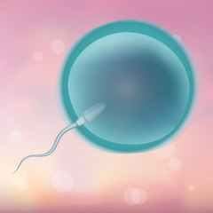 Spermatozoon sperm and ovum egg . Fertilization, insemination, conception, impregnation, semination. Illustration for web or typography magazine, brochure, flyer, poster. Blurred pink background
