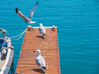 cambrils costa dorada barcos mar playa 