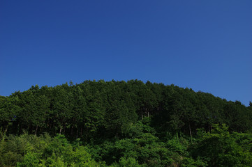 Fototapeta na wymiar 青空と緑の山