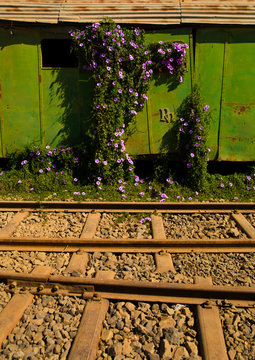 Old Train In Asmara Train Station, Eritrea