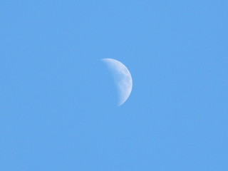 Half Moon in the Sky during the Day