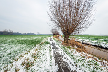 Endless-looking bicycle and hiking trail in winter.