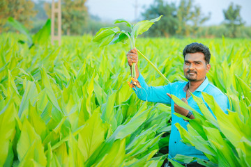 young indian farmer at field