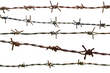 barbed wire
