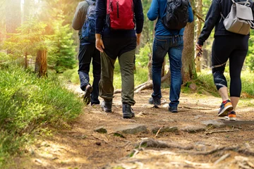 Foto op Plexiglas nature adventures - group of friends walking in forest with backpacks © ronstik