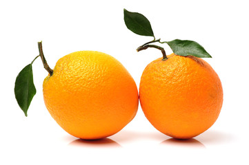 Orange fruit on the white background