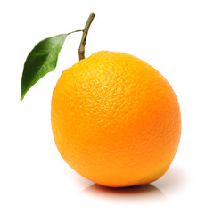 Orange fruit on the white background