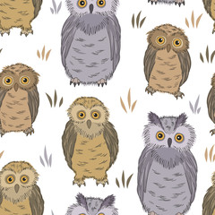 Owl graphic color seamless pattern background sketch illustration vector