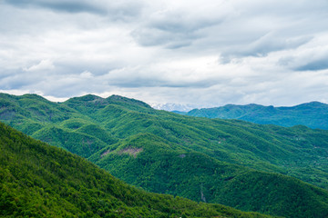 Naklejka premium Montenegro, Endless untouched nature landscape of green forested valley and mountain from above near kolasin